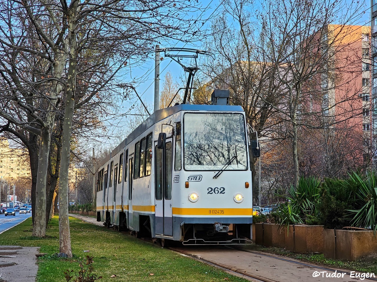 262.jpg