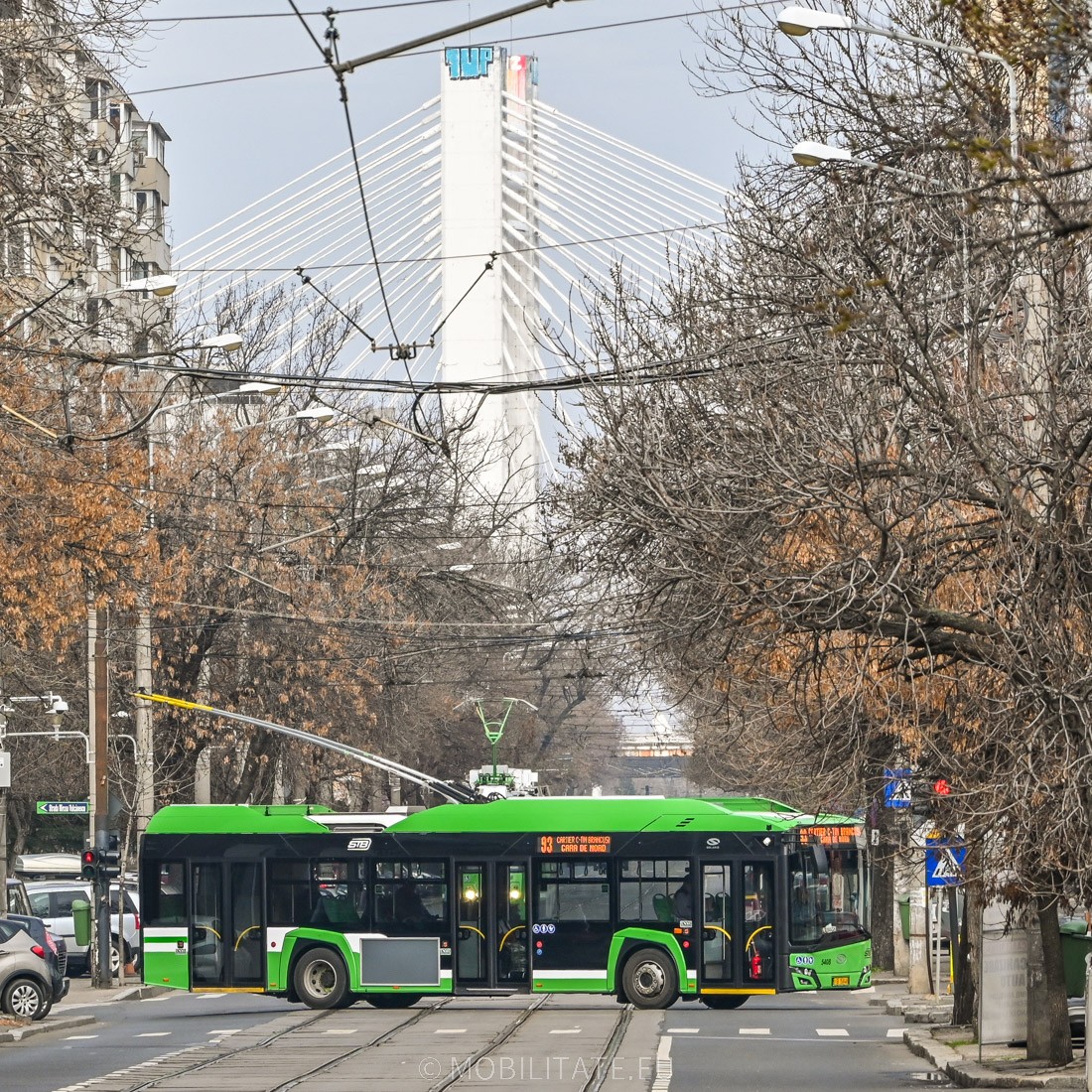 DSC_7618.jpg