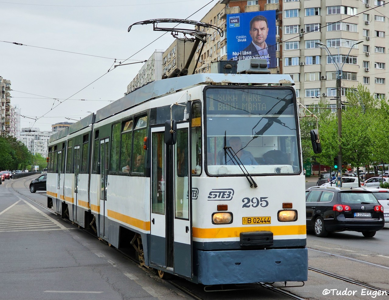 295.jpg