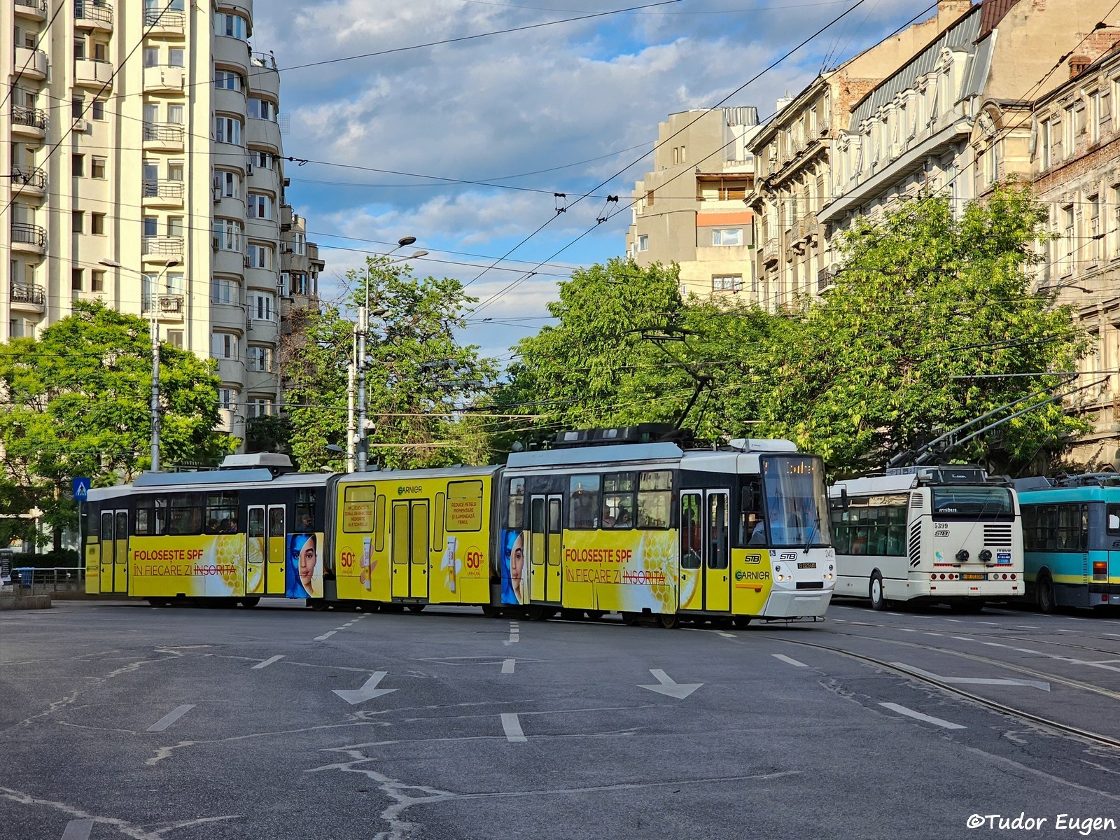 242 1.jpg