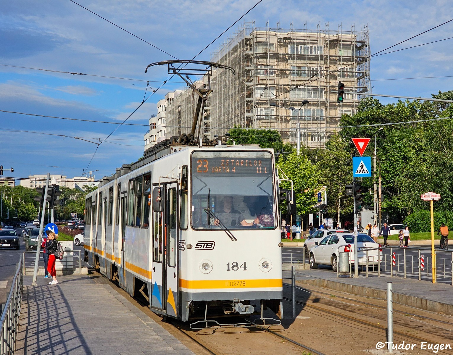 184.jpg