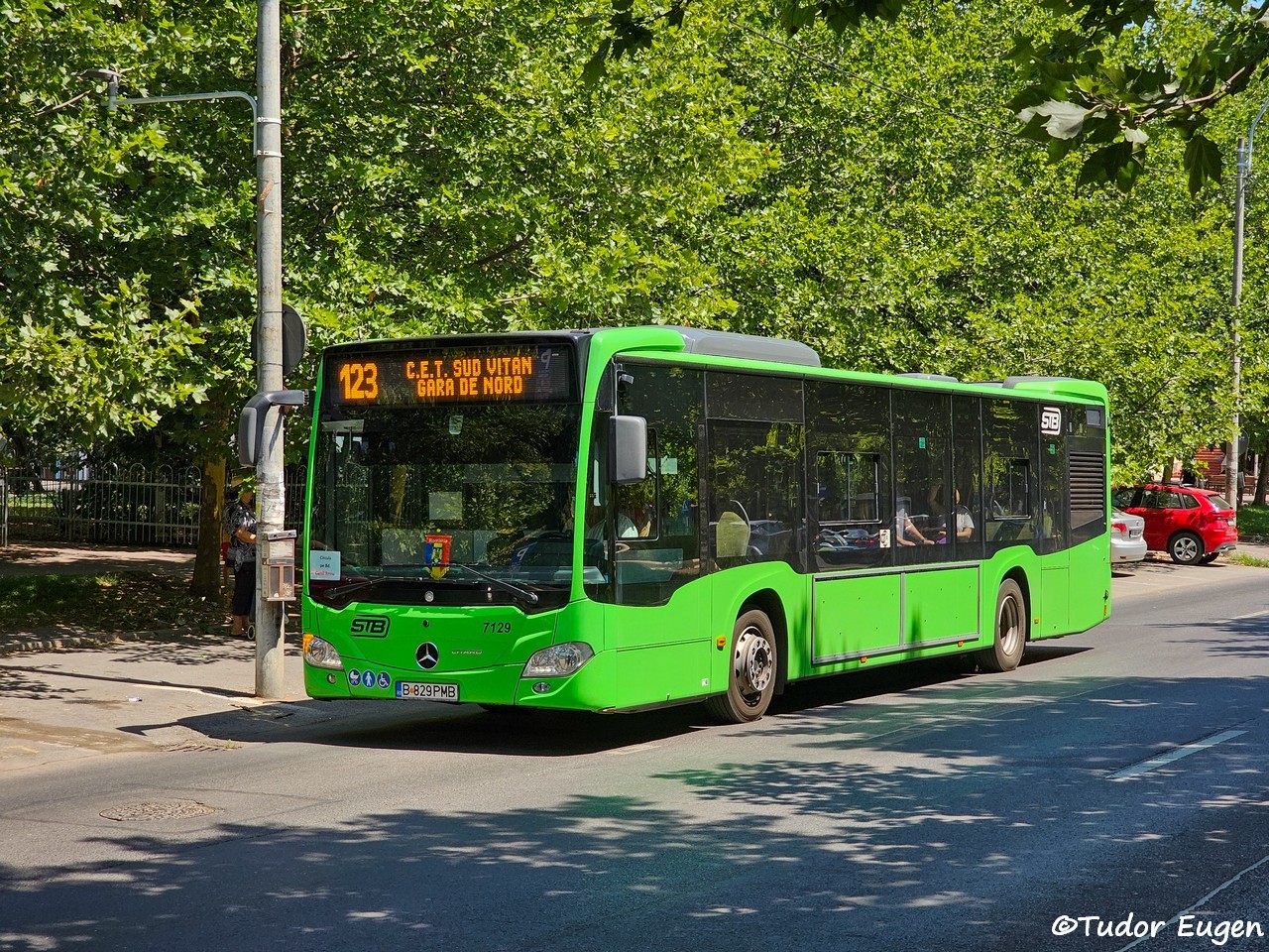 7129.jpg