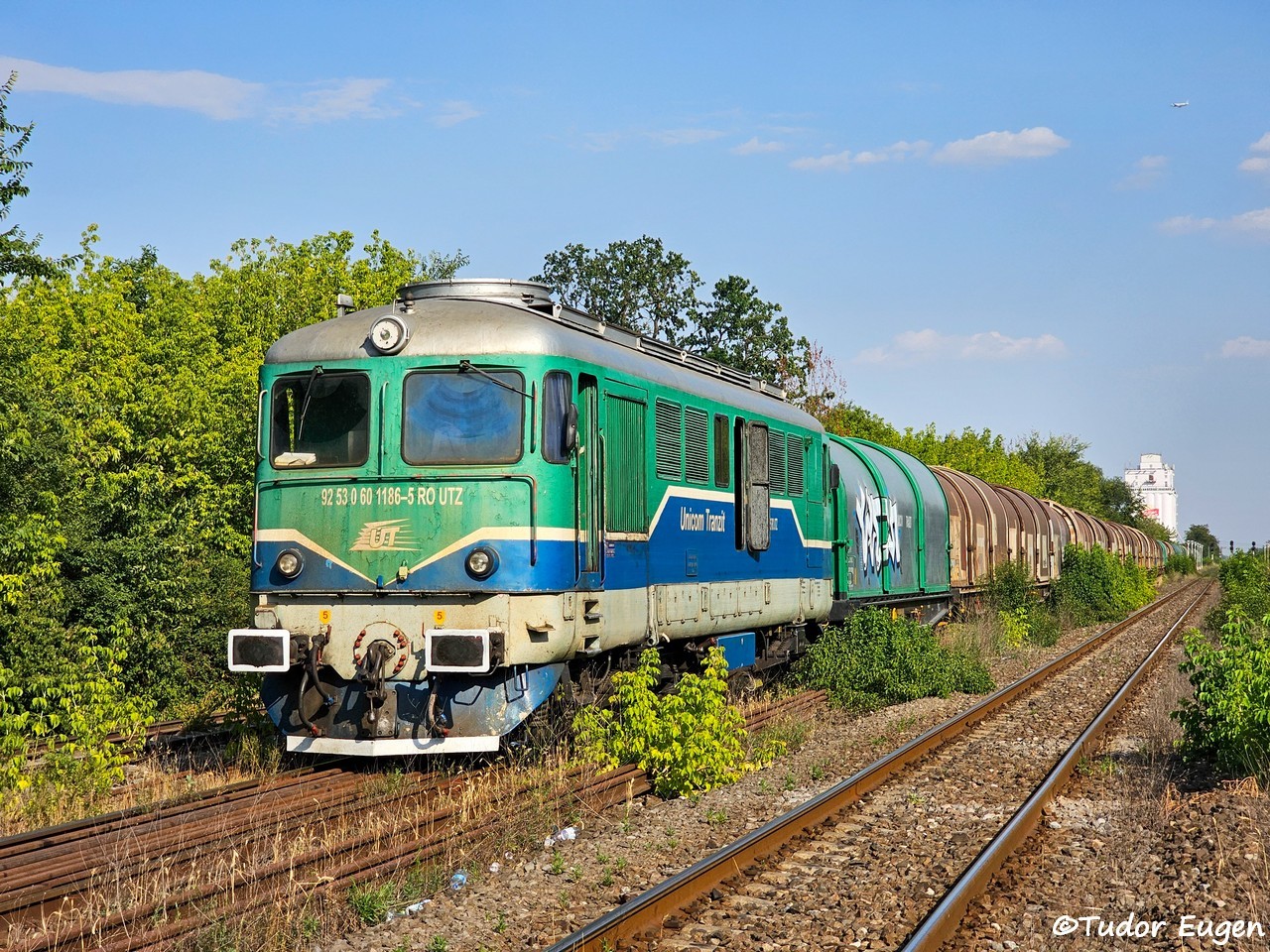 1186.jpg
