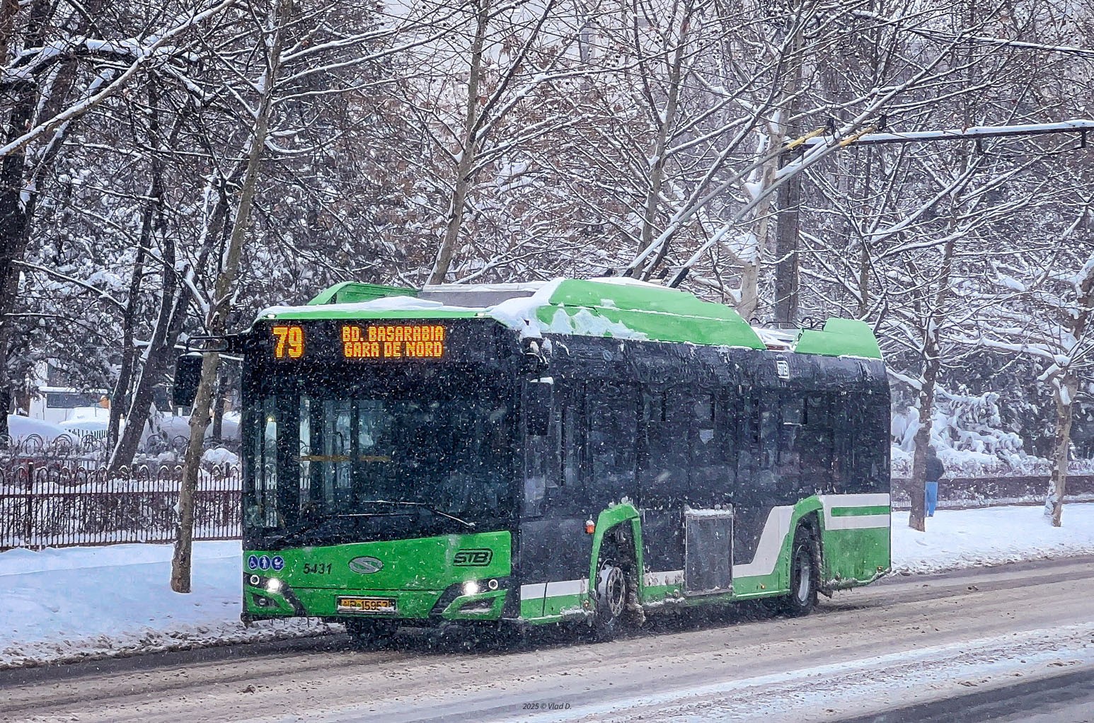 IMG_6096.jpg