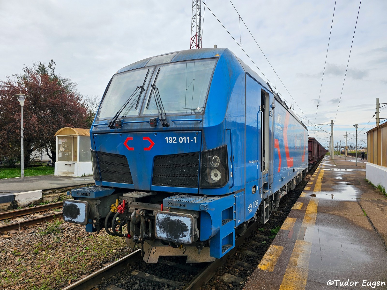 20250403_151236 (1).jpg