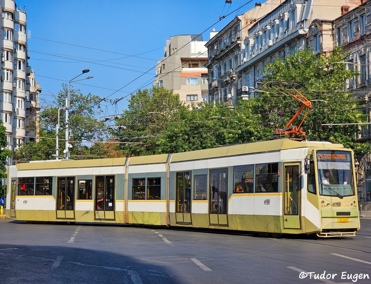 403.jpg
