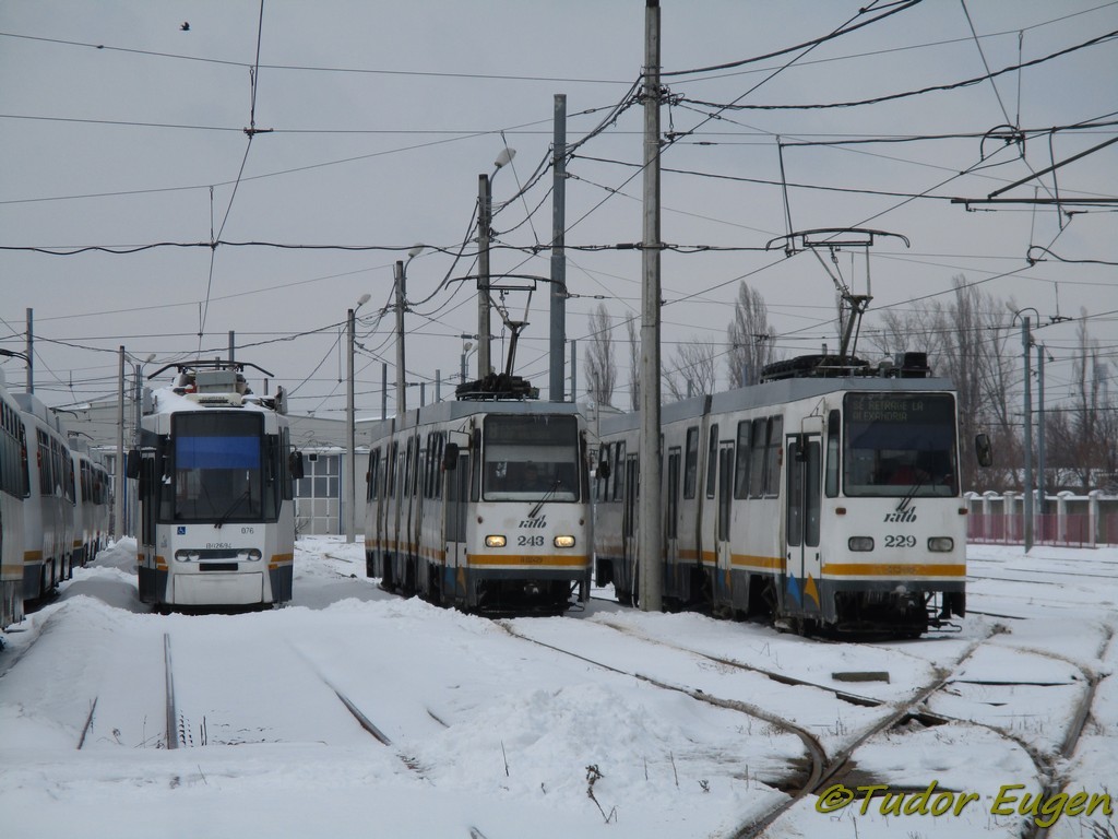 IMG_2440.jpg