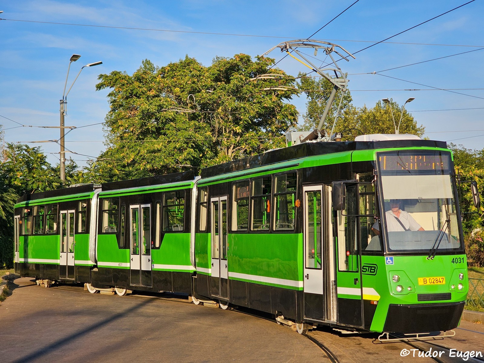4031 1 2.jpg