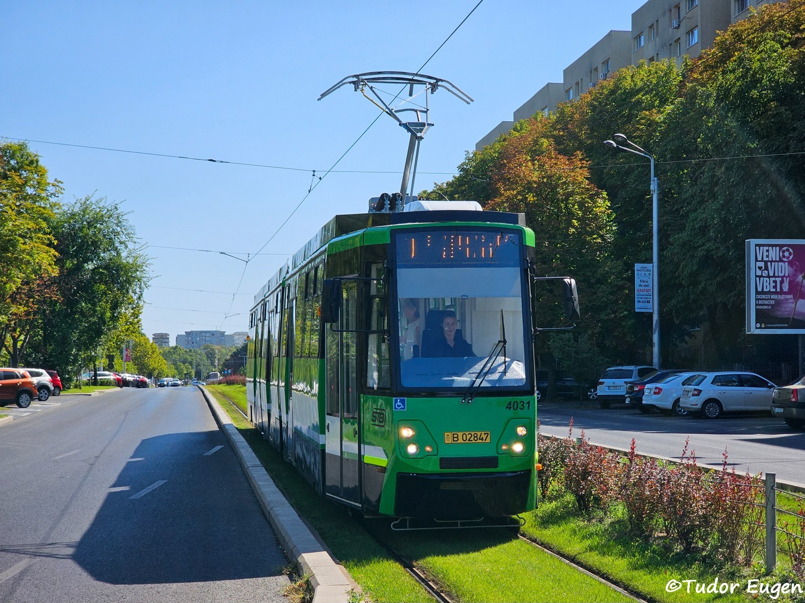 4031 19 1.jpg