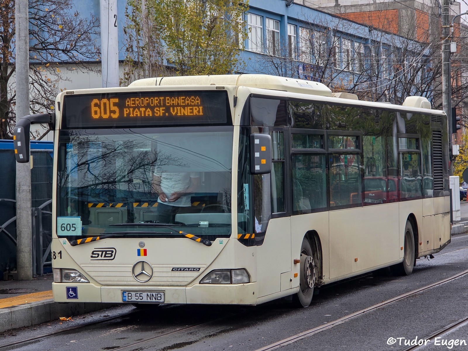 4381 1.jpg