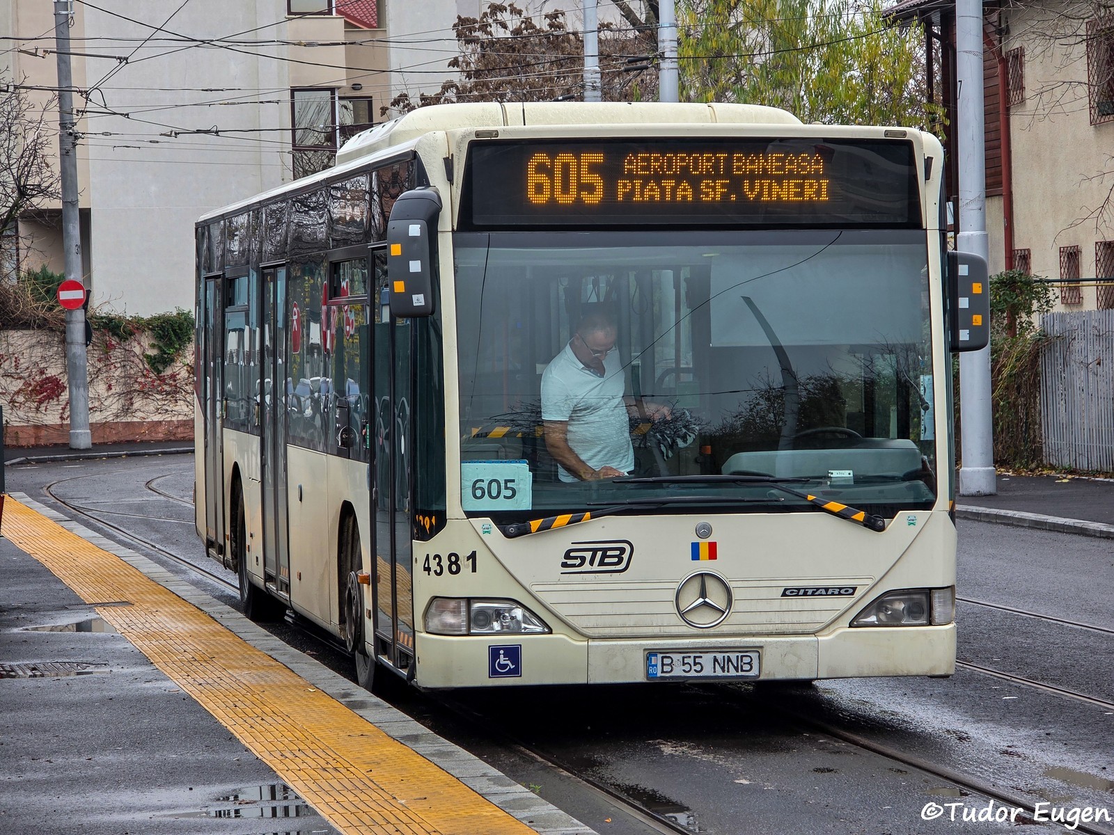 4381.jpg