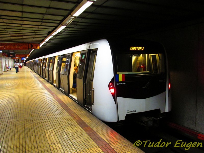 1003-2003 Camelia.jpg