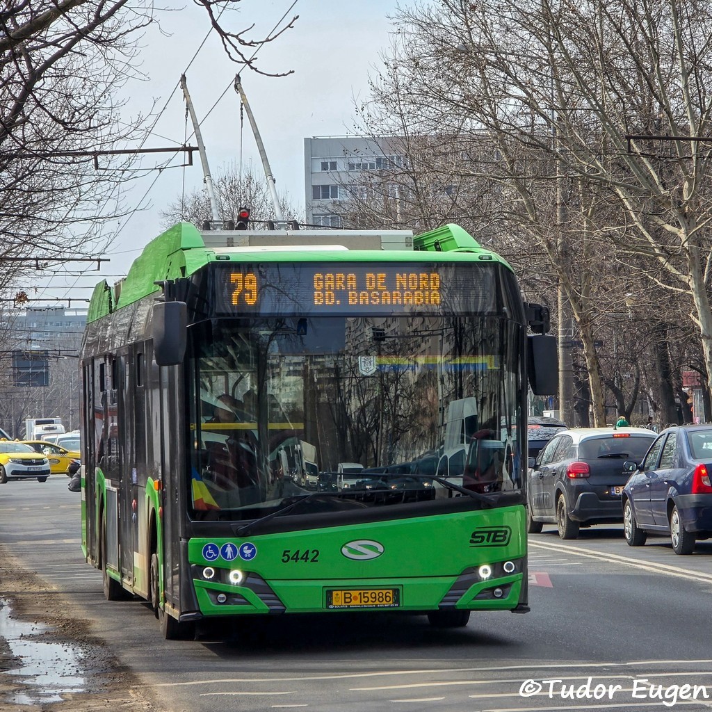 5442.jpg