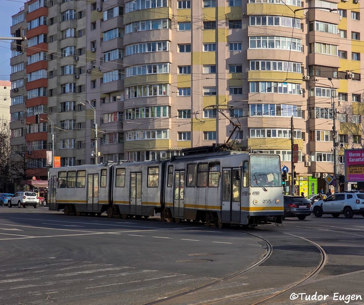 255.jpg