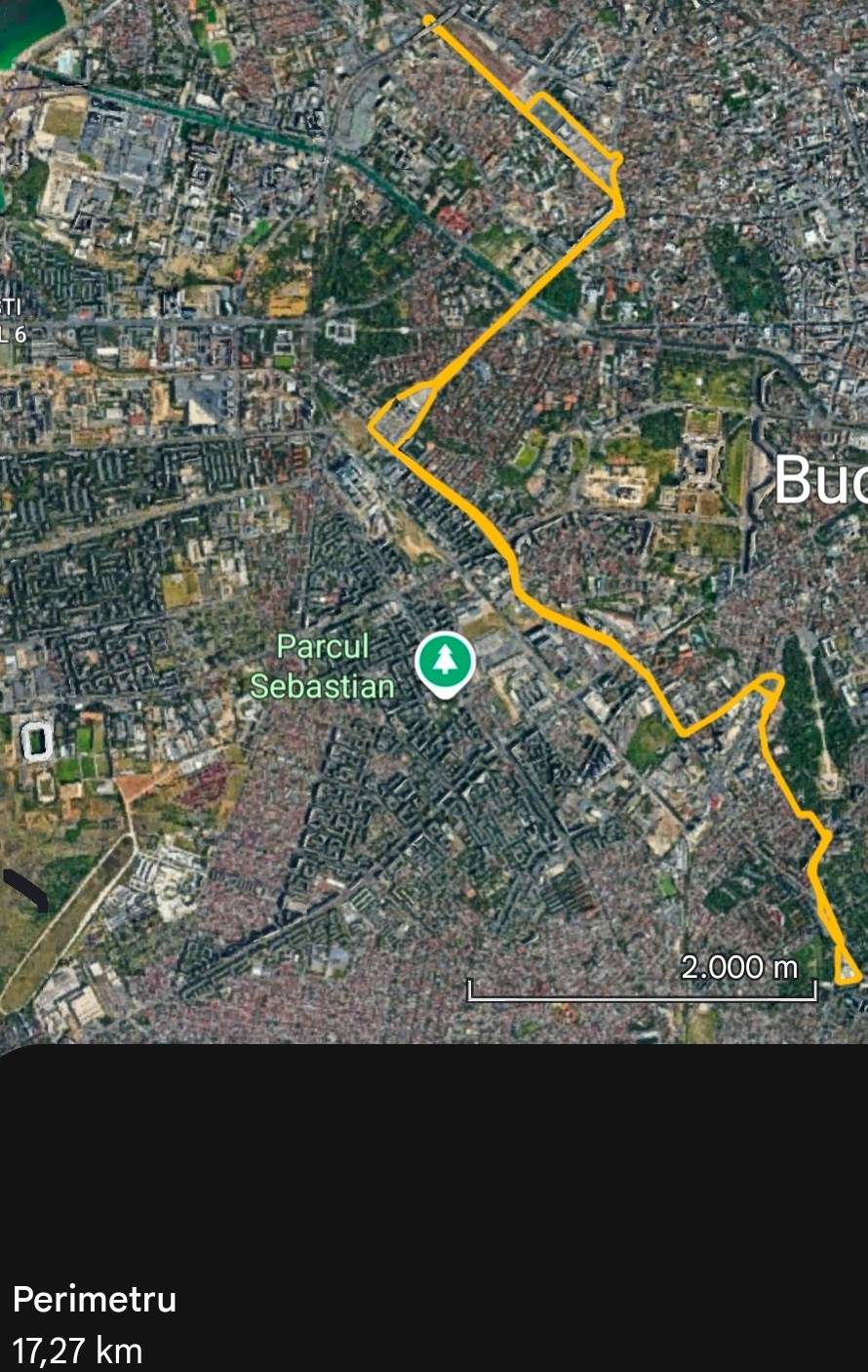 196 (Gara Basarab - Șura Mare).jpg