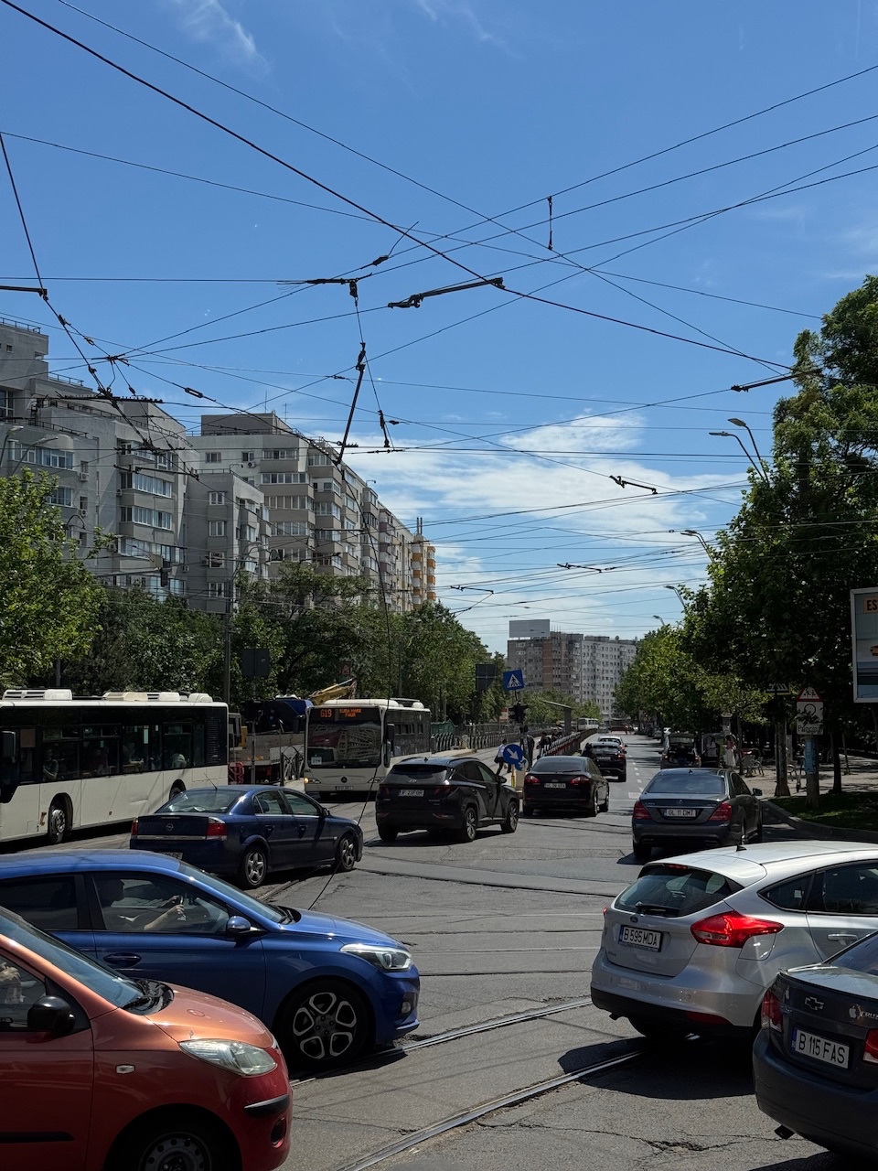 IMG_4811.jpeg