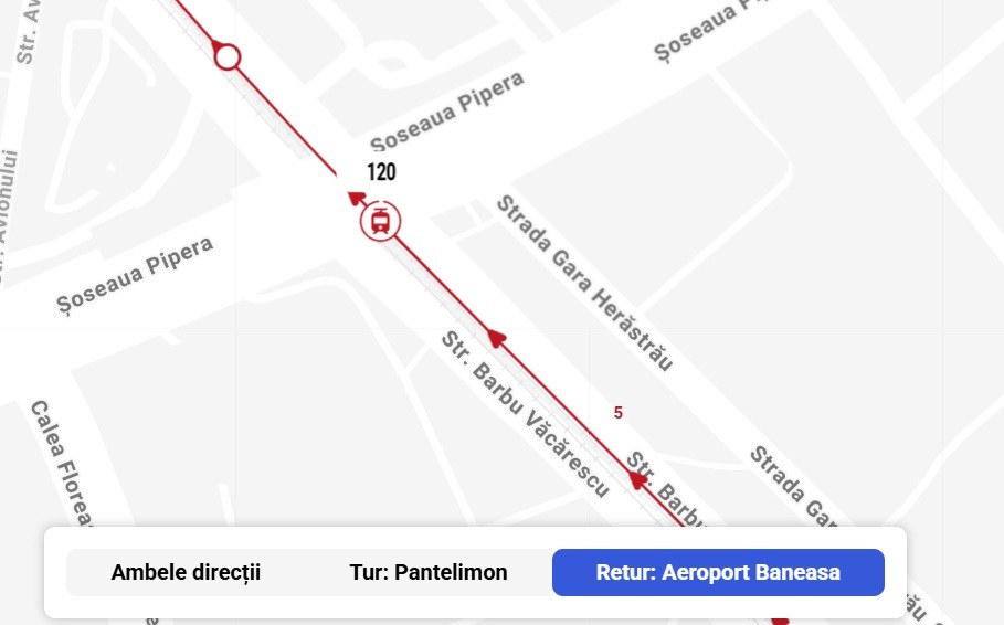 Fără titlu.jpg