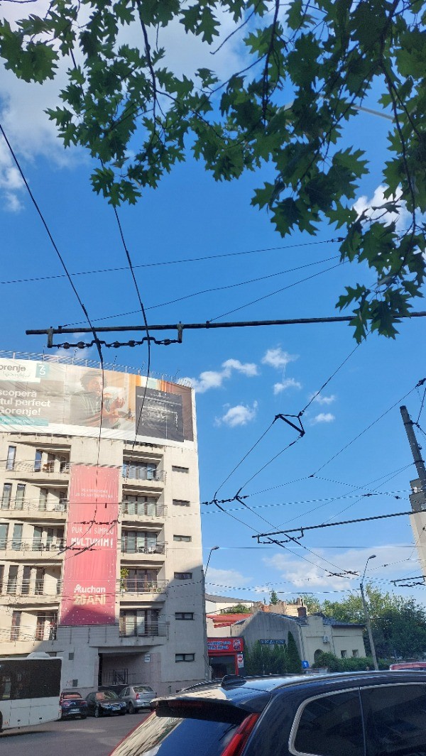 1000026155-redimensionată-la-medie.jpeg