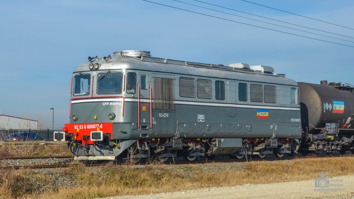 877.jpg