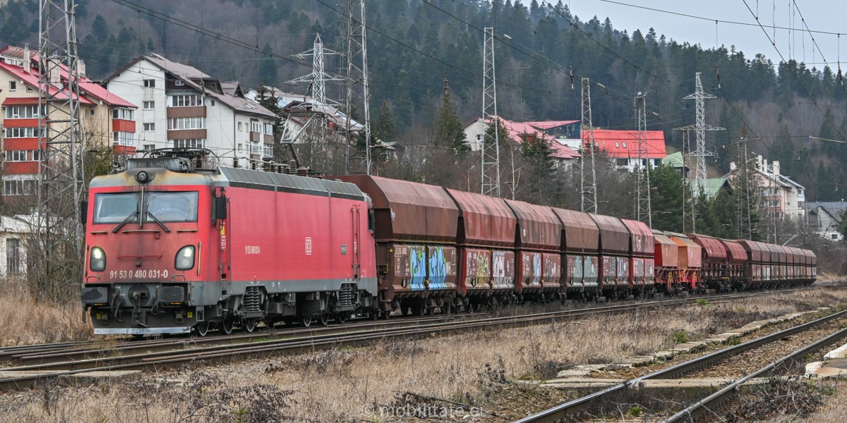 DSC_0455.jpg