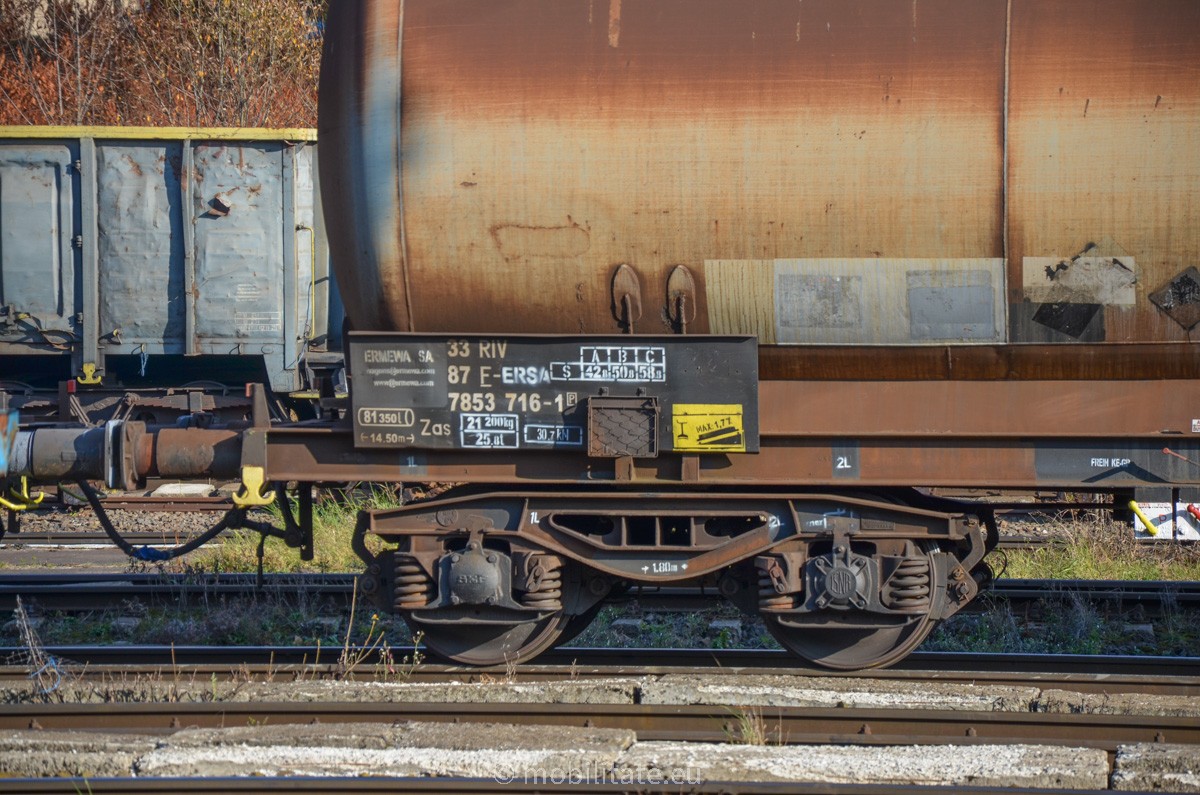 DSC_0976.jpg