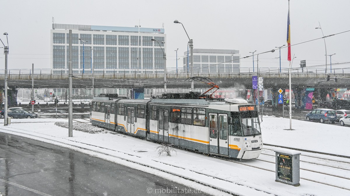 DSC_8249.jpg