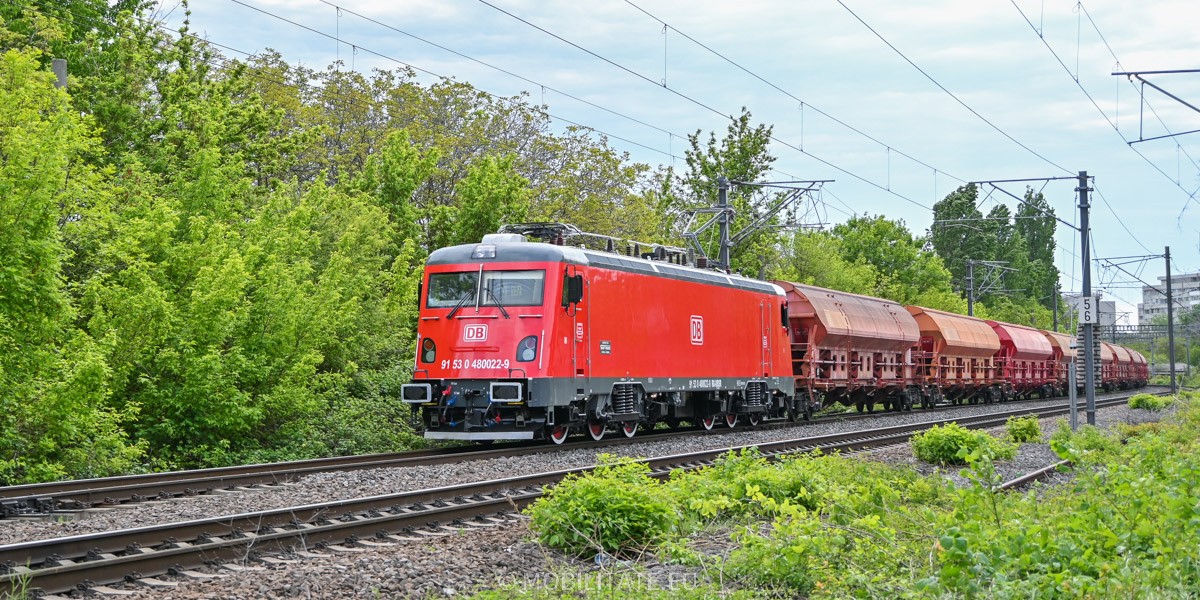 DSC_0709.jpg