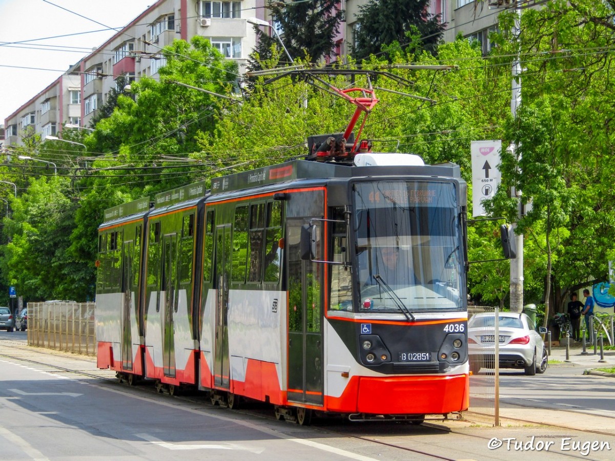 4036.jpg