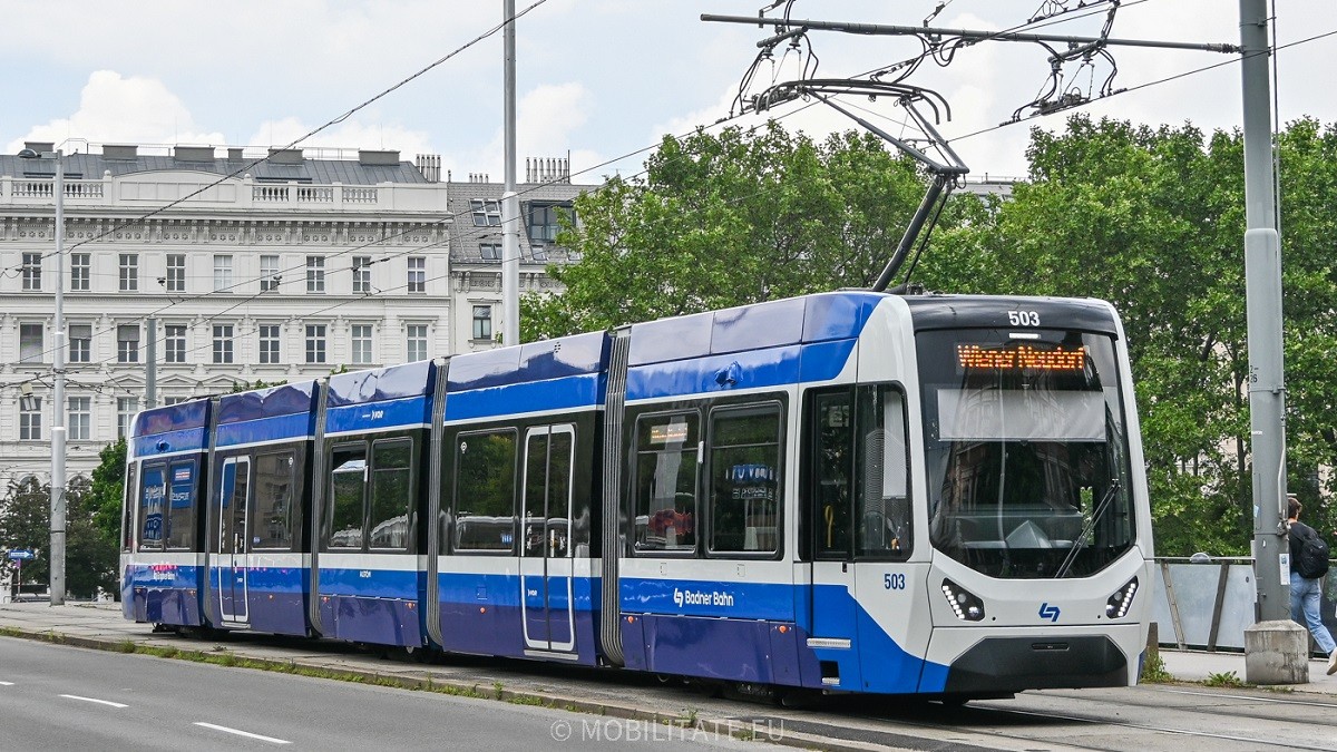 503.jpg