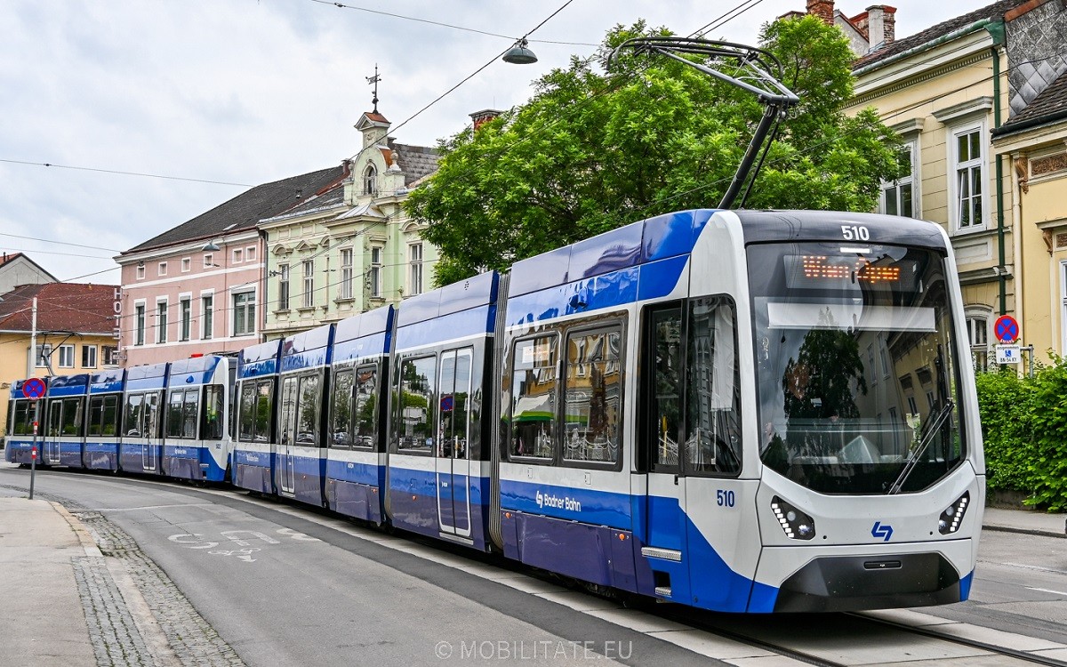510.jpg