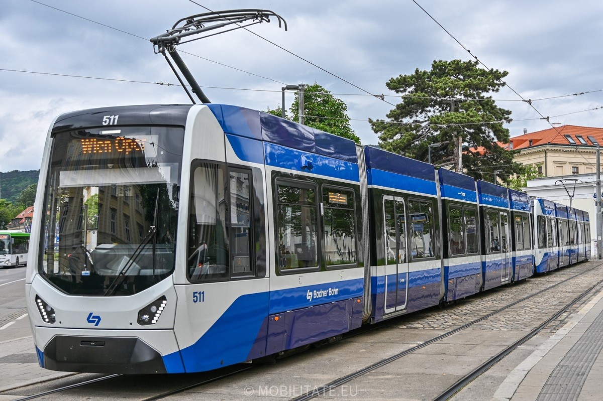 511.jpg