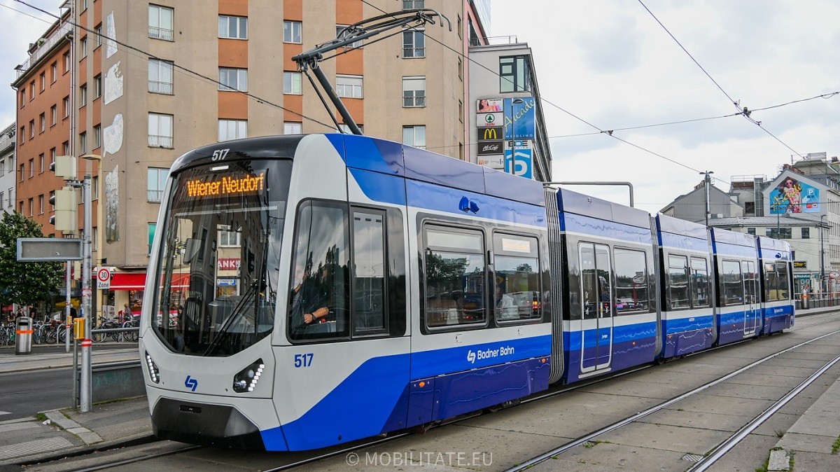 517.jpg