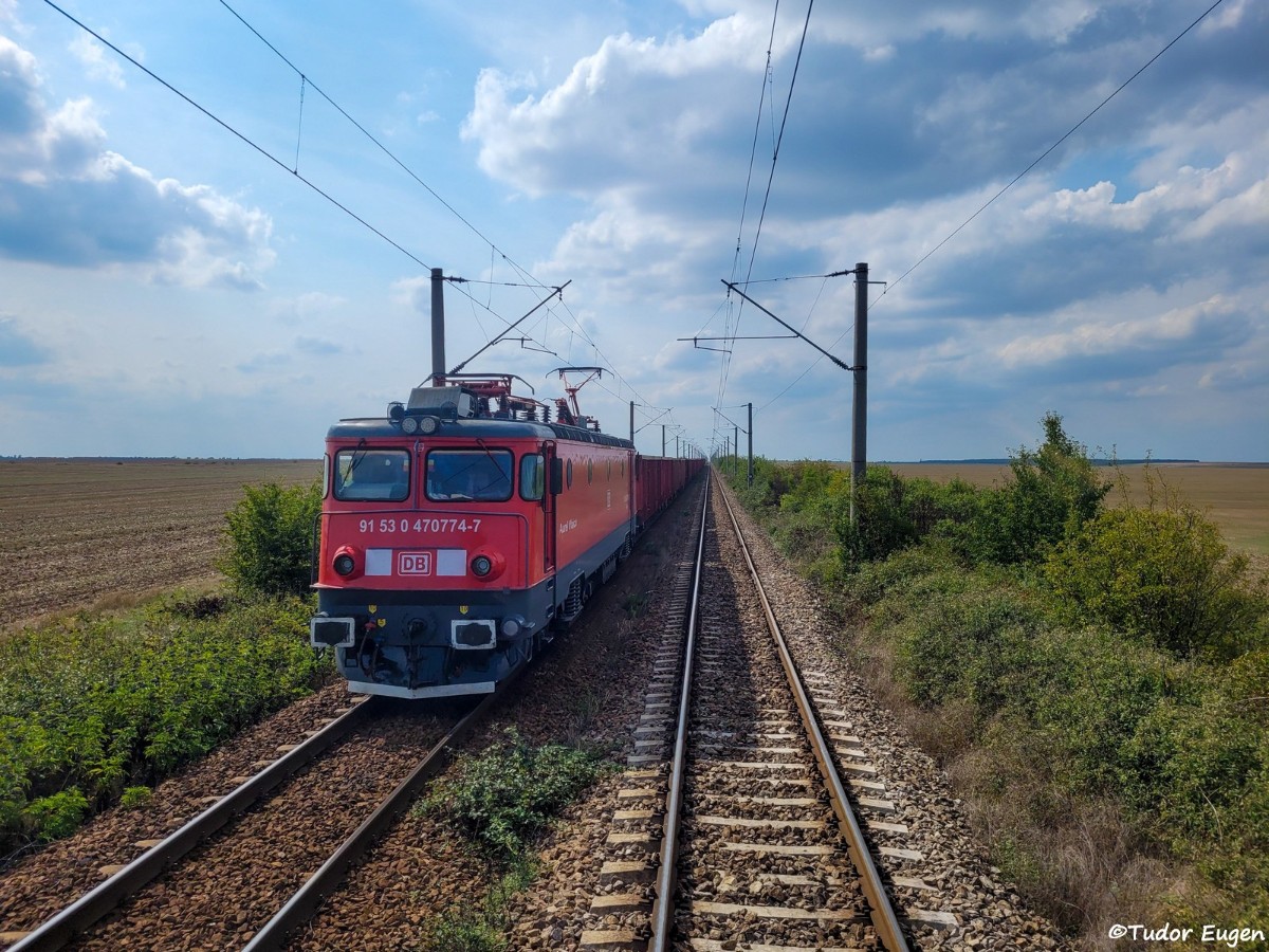 774.jpg