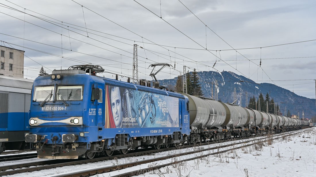 DSC_9411.jpg